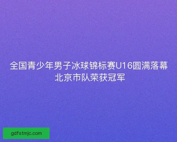 全国青少年男子冰球锦标赛U16圆满落幕 北京市队荣获冠军